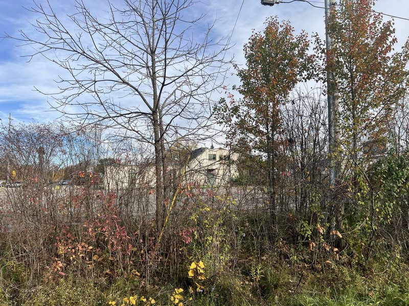 Farm Motel - Oct 29 2023 (newer photo)